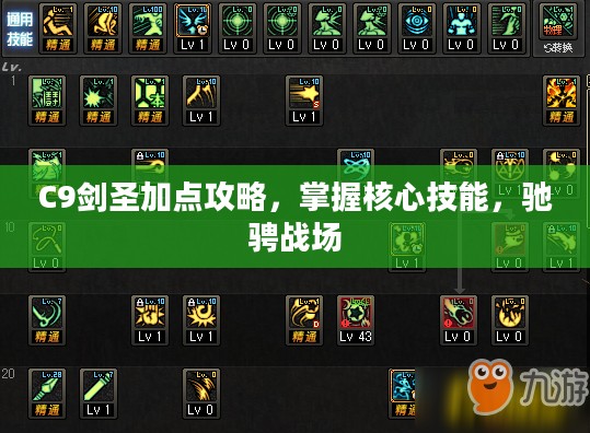 C9剑圣加点攻略，掌握核心技能，驰骋战场