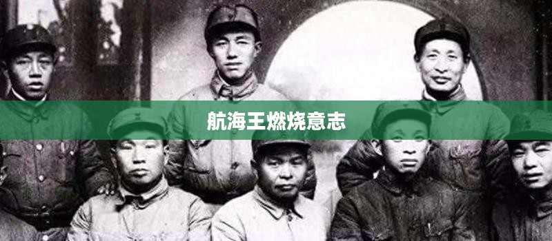 航海王燃烧意志，热血与梦想的海洋征途