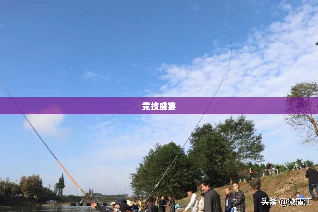 红心游戏，一场数字时代的竞技盛宴