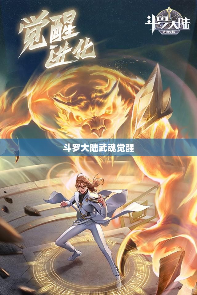 斗罗大陆武魂觉醒，探索神秘世界的奇幻之旅