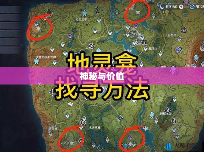 原神地灵龛，神秘与价值的交织