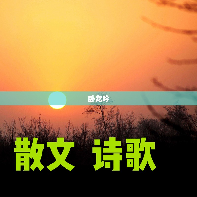 乐趣卧龙吟,一曲穿越千年的文化赞歌 乐趣卧龙吟,一曲穿越千年的文化赞歌