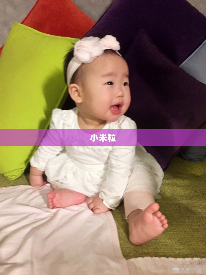 小米粒，微小中的巨大力量