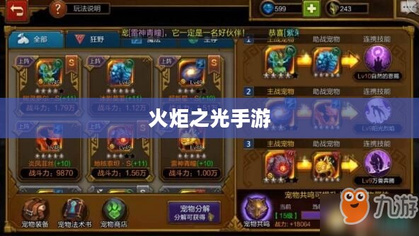 火炬之光手游,探索奇幻世界的无尽魅力 火炬之光手游,探索奇幻世界的无尽魅力