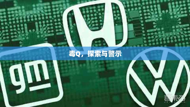 毒Q，探索与警示