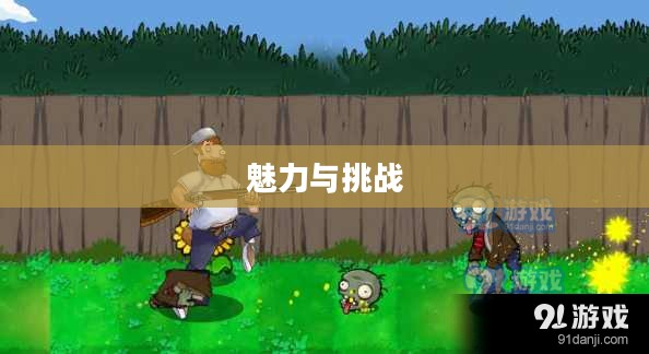 打僵尸游戏的魅力与挑战
