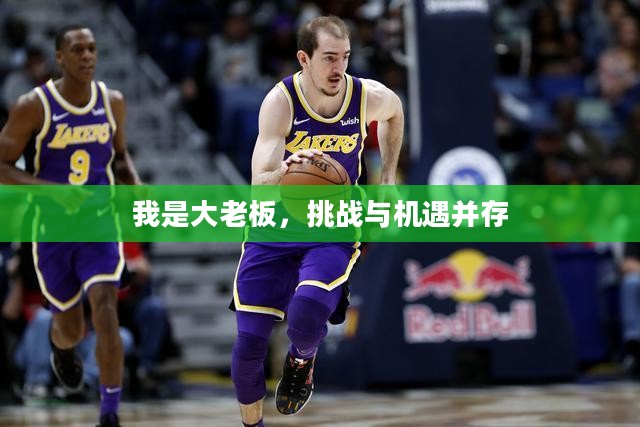 我是大老板，挑战与机遇并存