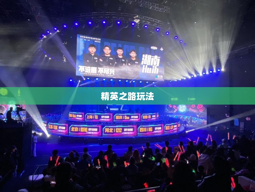 和平精英游戏攻略，玩转精英之路