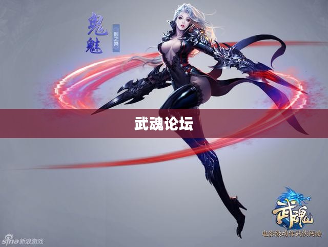 武魂论坛,游戏之魂的聚集地 武魂论坛,游戏之魂的聚集地
