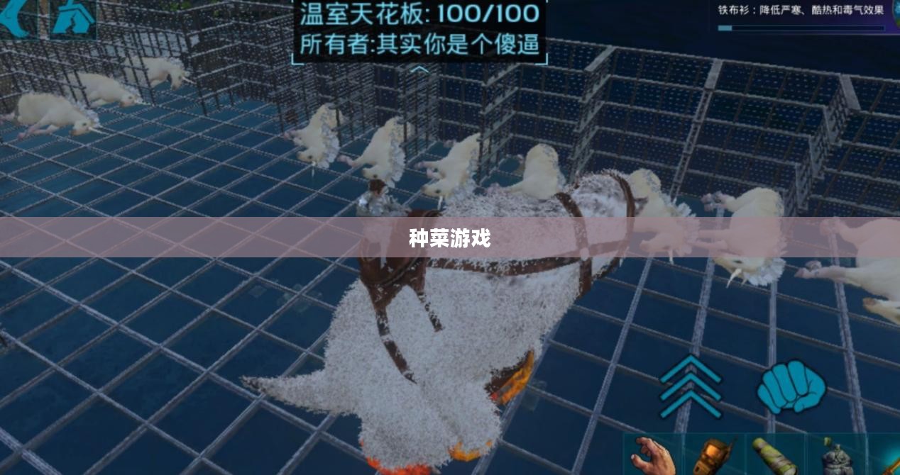种菜游戏,虚拟与现实的绿色融合 种菜游戏,虚拟与现实的绿色融合