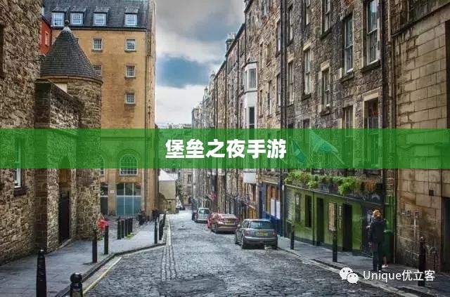 堡垒之夜手游,游戏魅力与玩家体验的深度解析 堡垒之夜手游,游戏魅力与玩家体验的深度解析