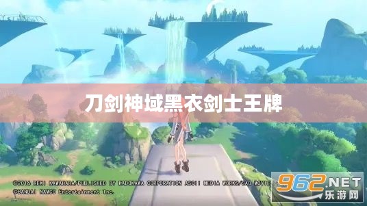 刀剑神域黑衣剑士王牌，荣耀与冒险的交织