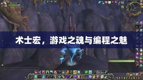 术士宏，游戏之魂与编程之魅