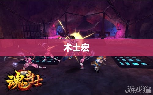 术士宏，游戏之魂与编程之魅