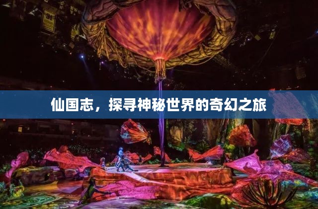 仙国志，探寻神秘世界的奇幻之旅