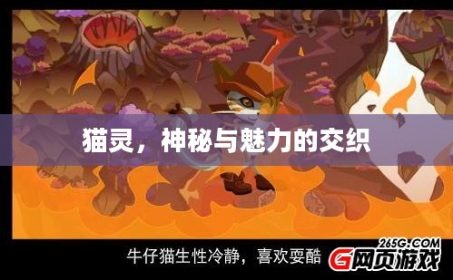 猫灵，神秘与魅力的交织