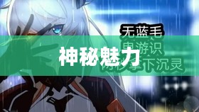 猫灵，神秘与魅力的交织