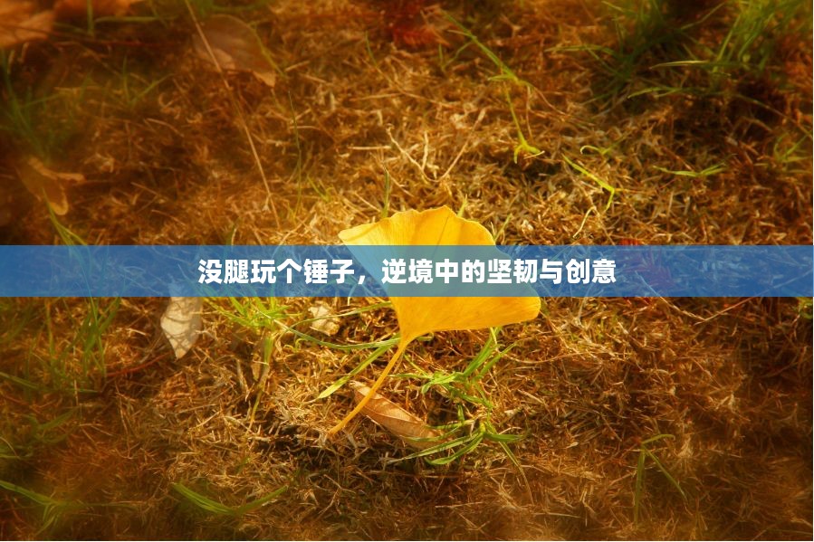 没腿玩个锤子，逆境中的坚韧与创意