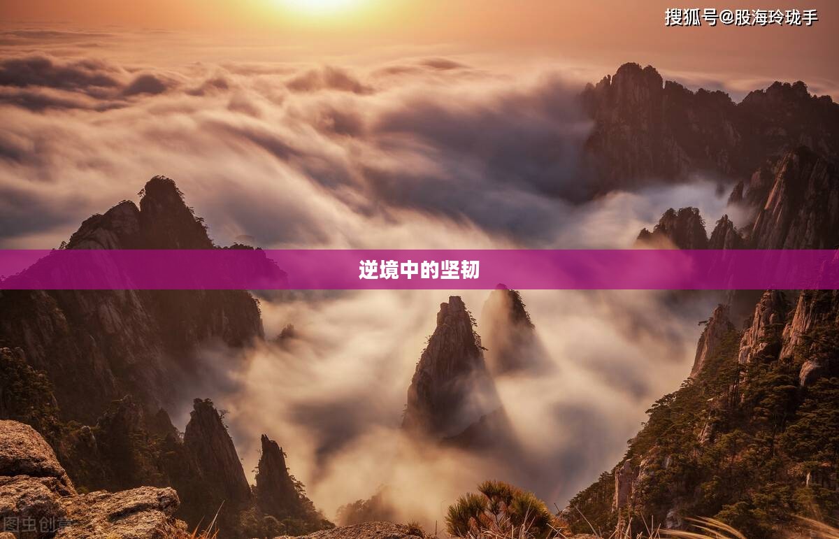 没腿玩个锤子,逆境中的坚韧与创意 没腿玩个锤子,逆境中的坚韧与创意