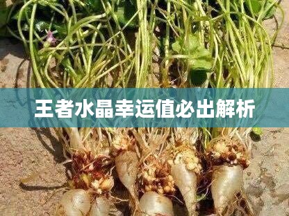 王者水晶幸运值必出解析 王者水晶幸运值必出解析