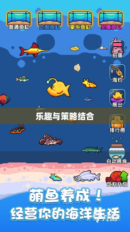 养鱼游戏，乐趣与策略的结合