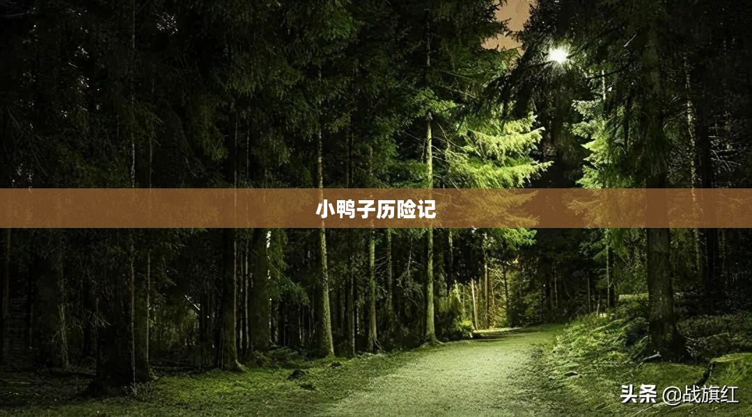 小鸭子历险记，勇气与智慧的旅程