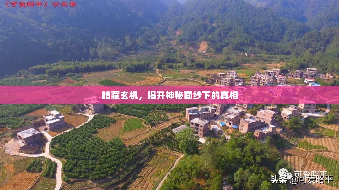 暗藏玄机，揭开神秘面纱下的真相