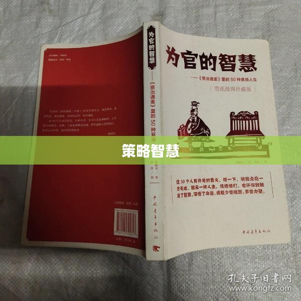 官场纵横，策略、智慧与人性