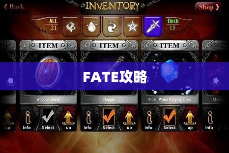 掌握命运之轮，FATE攻略大全