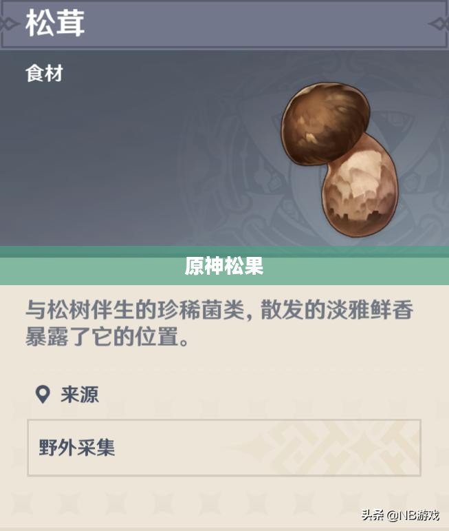 原神松果哪里多，探索游戏中的松果资源分布