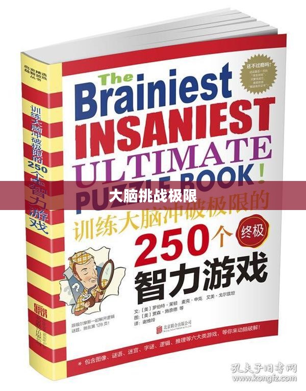 智力游戏大全，挑战你的大脑极限