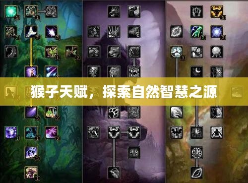 猴子天赋，探索自然智慧之源