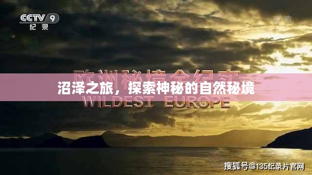 沼泽之旅，探索神秘的自然秘境