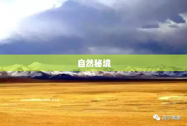 沼泽之旅，探索神秘的自然秘境