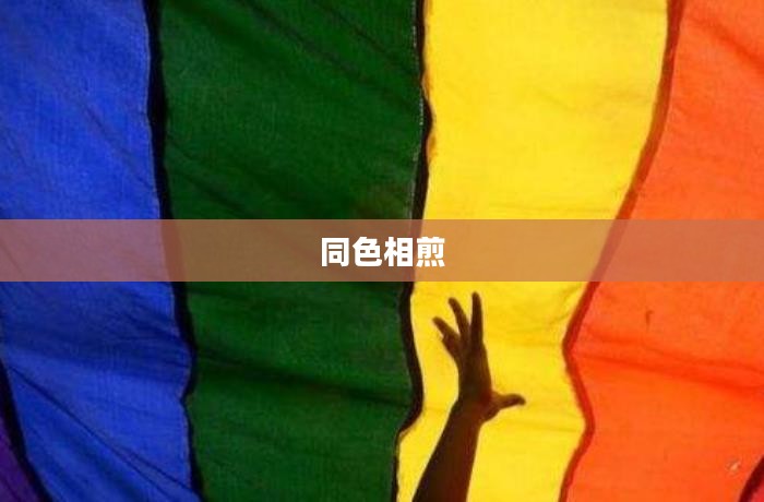 同色相煎，深度探究背后的心理与社会现象