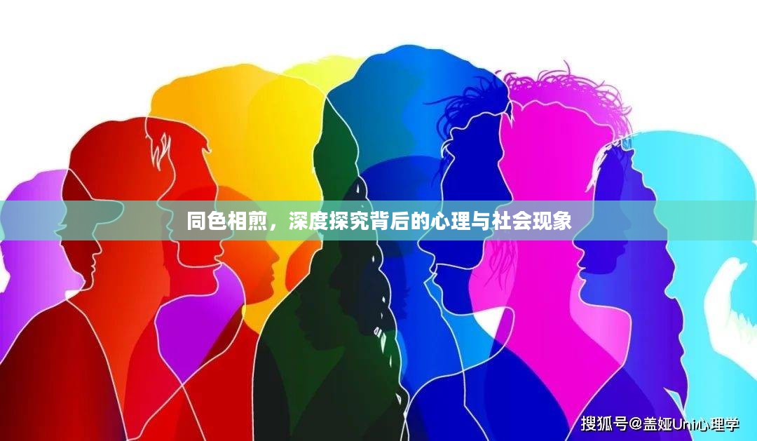 同色相煎，深度探究背后的心理与社会现象