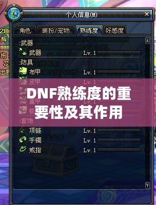 DNF熟练度的重要性及其作用
