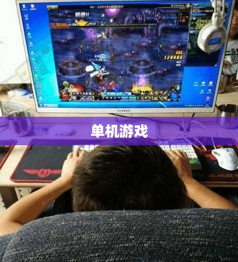 当下最火的单机游戏