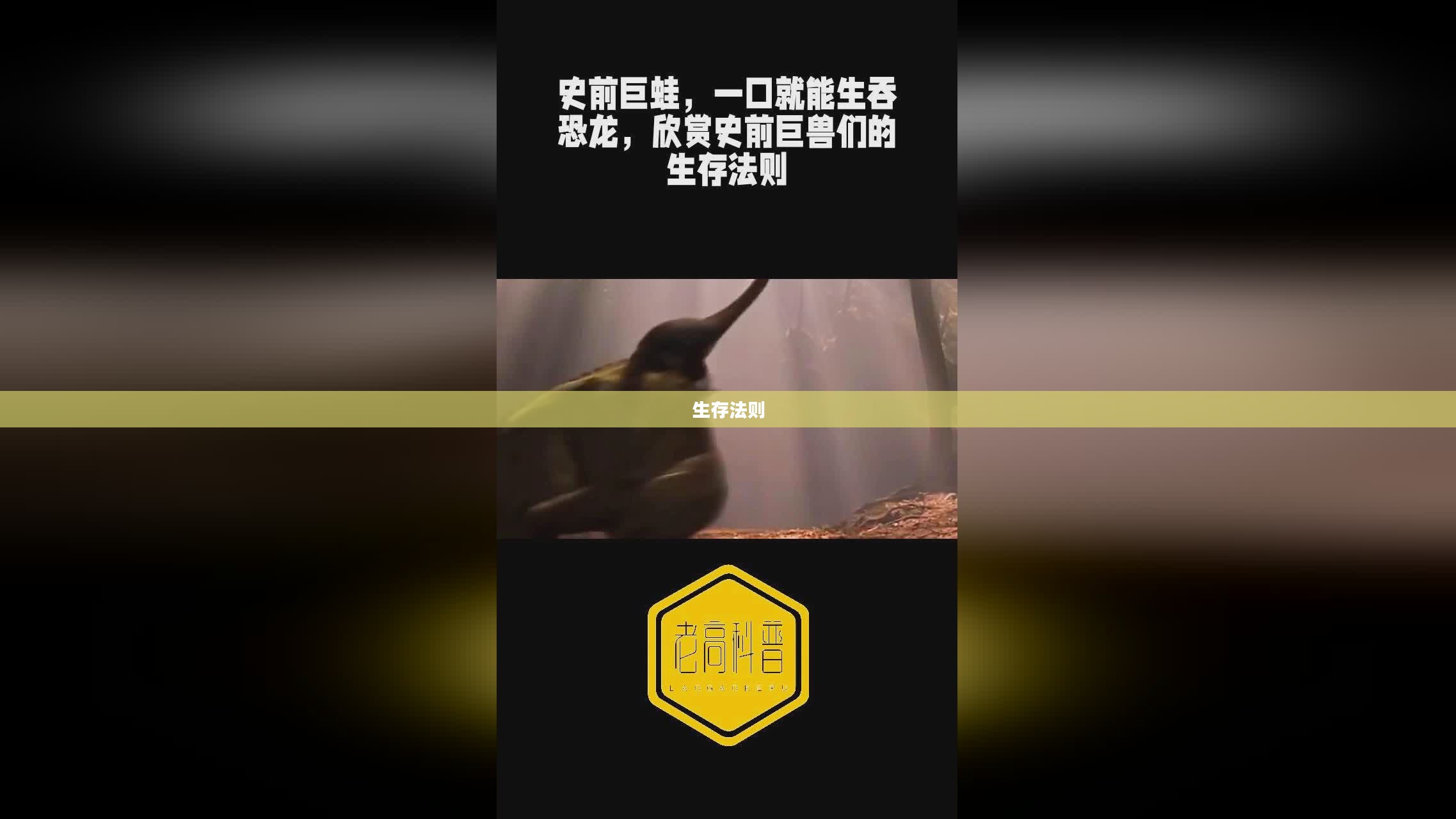 恐龙的战争，史前巨兽的争斗与生存法则