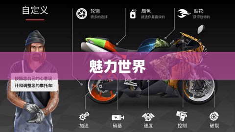 疯狂摩托车的魅力世界 疯狂摩托车的魅力世界