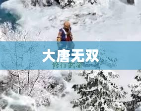 大唐无双，挖宝之旅的奥秘与魅力