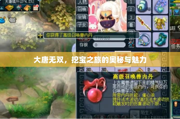 大唐无双，挖宝之旅的奥秘与魅力
