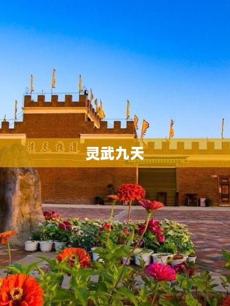 灵武九天，探寻神秘力量的奇幻之旅