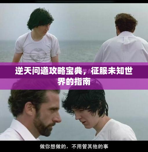 逆天问道攻略宝典，征服未知世界的指南