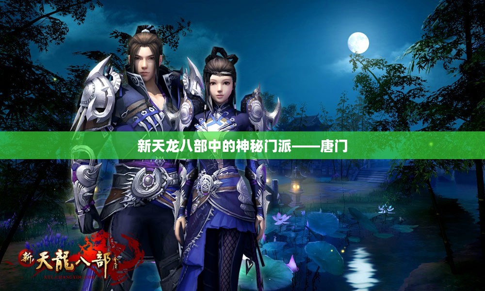 新天龙八部中的神秘门派——唐门