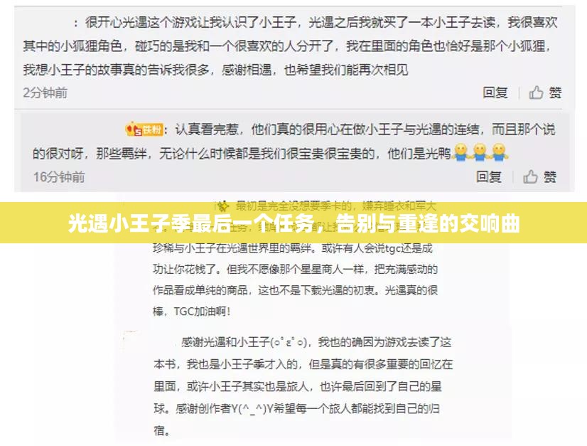 光遇小王子季最后一个任务，告别与重逢的交响曲