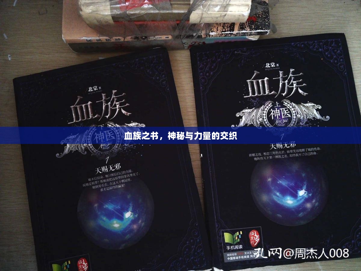 血族之书,神秘与力量的交织 血族之书,神秘与力量的交织