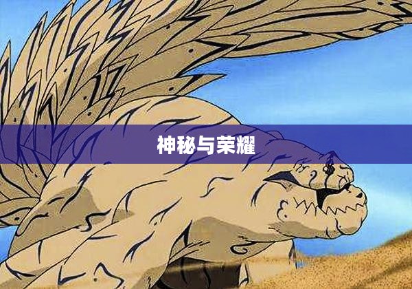 忍者传奇，神秘与荣耀的交织