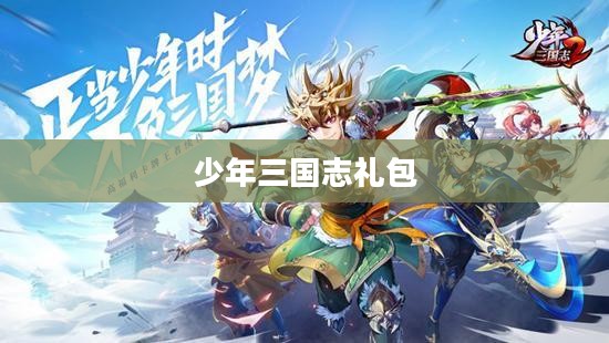 少年三国志礼包，游戏玩家的福利盛宴