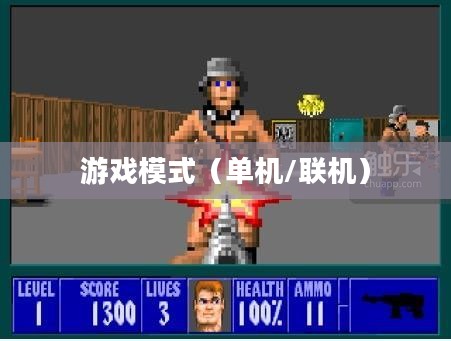 赛博朋克2077，单机还是联机？游戏模式的探讨与解析